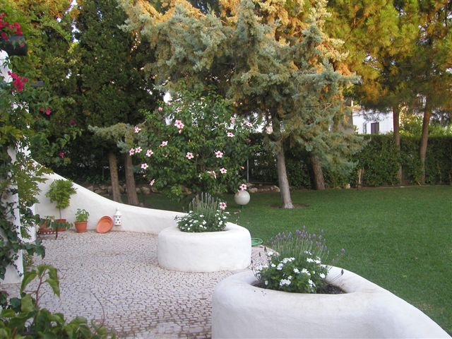 Garden at the rear of the villa