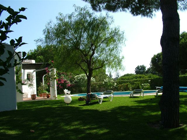 Pool Garden View